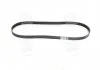 Ремень поликлин. (пр-во) SKF VKMV6PK1120