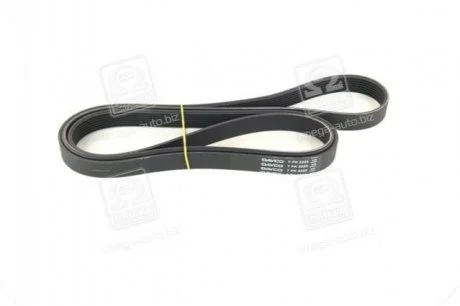 Ремень поликлиновый (пр-во) DAYCO 7PK2225