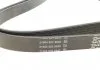 Поліклиновий ремінь DAYCO 6PK2155S (фото 3)