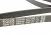 Поліклиновий ремінь DAYCO 6PK2155S (фото 4)
