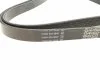 Поліклиновий ремінь DAYCO 6PK2155S (фото 8)