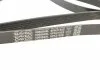 Поліклиновий ремінь DAYCO 6PK2155S (фото 9)