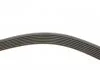 Поликлиновой ремень (Пр-во Gates) GATES 7PK1236 (фото 3)