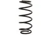 Starline spirаlrugв STARLINE PRTH9040 (фото 1)
