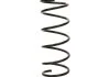 Starline spirаlrugв STARLINE PRTH9007 (фото 1)