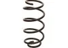 Starline spirаlrugв STARLINE PRTH9003 (фото 1)