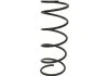Starline spirаlrugв STARLINE PRTH9002 (фото 1)
