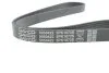 Поліклиновий ремінь DAYCO 5PK1072S (фото 4)