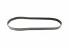 Пасок велоклиновий FEBI BILSTEIN 28904 (фото 9)
