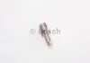 Розпилювач форсунки BOSCH 0433171398 (фото 1)