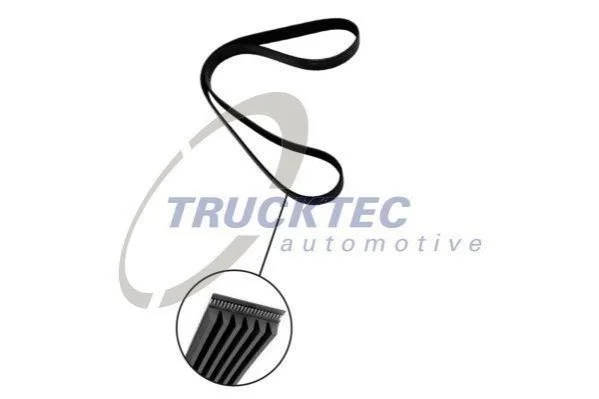 Поліклиновий ремінь TRUCKTEC 0719137 (фото 1)