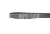 Ремень поликлиновой DAYCO 7PK1334S (фото 3)