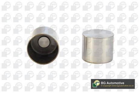 POPYCHACZE ZAWOROWE BGA HL2317