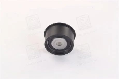 Ролик направляючий NTN SNR GE35317