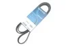 Pasek wielorowkowy DAYCO 5PK1810S (фото 2)