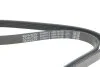 Pasek wielorowkowy DAYCO 5PK1810S (фото 4)