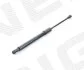 Амортизатор капоту AUDI A4 (B9), 15 - 18 SIGNEDA GS110740 (фото 1)