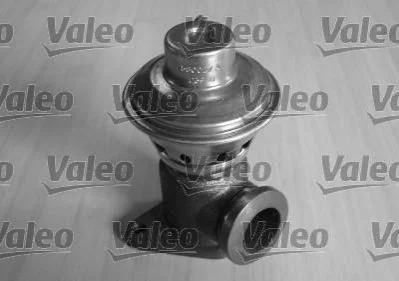 Клапан повернення ОГ VALEO 700404
