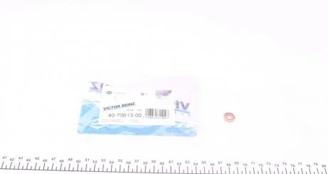 Елемент вприску VICTOR REINZ 407061300