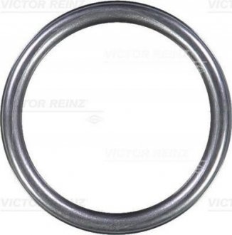 Уплотнительное кольцо VICTOR REINZ 407631310