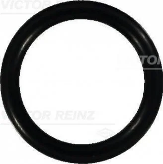 Ущільнююче кільце VICTOR REINZ 407605900