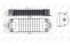 Радіатор мастила NRF 31198 (фото 5)