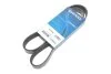 PASEK W/KLINOWY DAYCO 7PK1165S (фото 2)