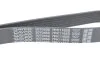 PASEK W/KLINOWY DAYCO 7PK1165S (фото 4)