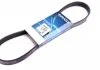 PASEK W/KLINOWY DAYCO 6PK895DT (фото 1)