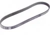 PASEK W/KLINOWY DAYCO 6PK895DT (фото 2)