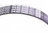 PASEK W/KLINOWY DAYCO 6PK895DT (фото 3)
