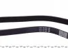 PASEK W/KLINOWY DAYCO 6PK798 (фото 2)