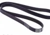 PASEK W/KLINOWY DAYCO 6PK1407S (фото 2)
