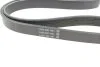 Ремінь генератора поліклиновий DAYCO 6PK1033EE (фото 2)