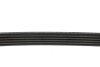 PASEK W/KLINOWY DAYCO 5PK1334 (фото 4)