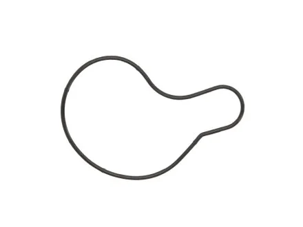 Прокладка помпи ATHENA S410485024016