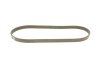 PASEK W/KLINOWY DAYCO 5PK855S (фото 2)