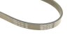 PASEK W/KLINOWY DAYCO 5PK855S (фото 5)