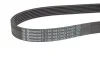 Ремінь поліклиновий (Вир-во Contitech) CONTITECH 7PK1051ELAST (фото 3)