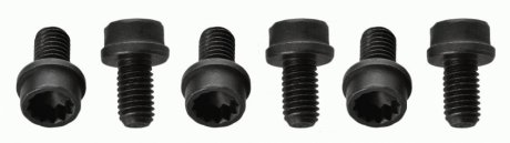 Гвинт зчеплення SACHS 1874000057