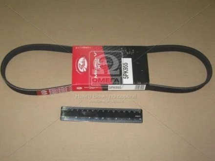 Доріжковий пас GATES 5PK955