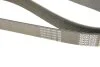 Ремень поликлин. (пр-во) DAYCO 8PK2190 (фото 5)