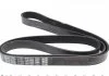 Ремень поликлиновый (пр-во) DAYCO 7PK1820 (фото 3)