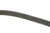 Ремень поликлиновый (пр-во) DAYCO 6PK2000 (фото 3)