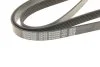 Ремень поликлиновый (пр-во) DAYCO 6PK2000 (фото 4)
