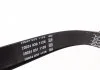Ремень поликлиновый (пр-во) DAYCO 6PK2090 (фото 3)