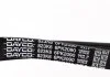 Ремень поликлиновый (пр-во) DAYCO 6PK2090 (фото 4)