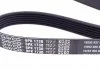 Ремень поликлин. (пр-во) DAYCO 6PK1730 (фото 3)