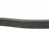 Доріжковий пас DAYCO 6PK1705 (фото 3)