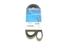 Доріжковий пас DAYCO 5PK1515 (фото 1)